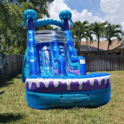 jelly202 1752079339 15' Jellyfish Waterslide